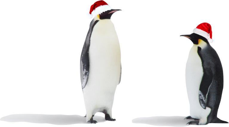 Penguin Santa